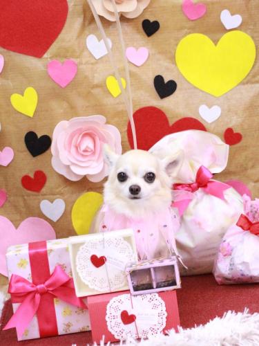 20230216ミルクちゃん